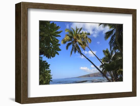 Keomo Beach near Kealakekua Bay, Captain Cook, North Kona area, Big Island, Hawaii, USA-Stuart Westmorland-Framed Photographic Print