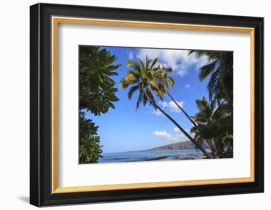 Keomo Beach near Kealakekua Bay, Captain Cook, North Kona area, Big Island, Hawaii, USA-Stuart Westmorland-Framed Photographic Print