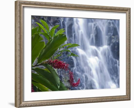 Kepirohi Waterfall, Pohnpei, Federated States of Micronesia-Michele Falzone-Framed Photographic Print