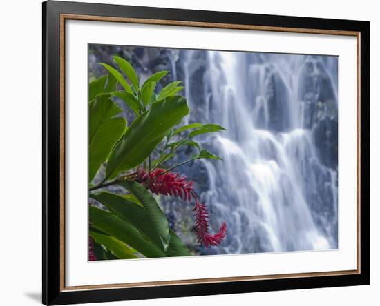 Kepirohi Waterfall, Pohnpei, Federated States of Micronesia-Michele Falzone-Framed Photographic Print