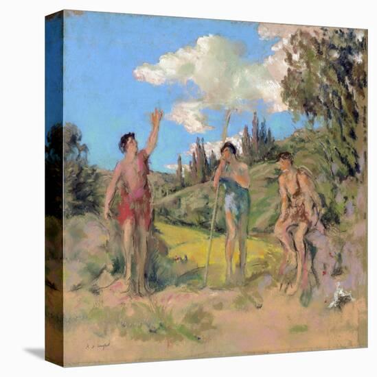 Stretched Canvas Print, , large
