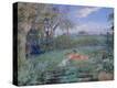Stretched Canvas Print