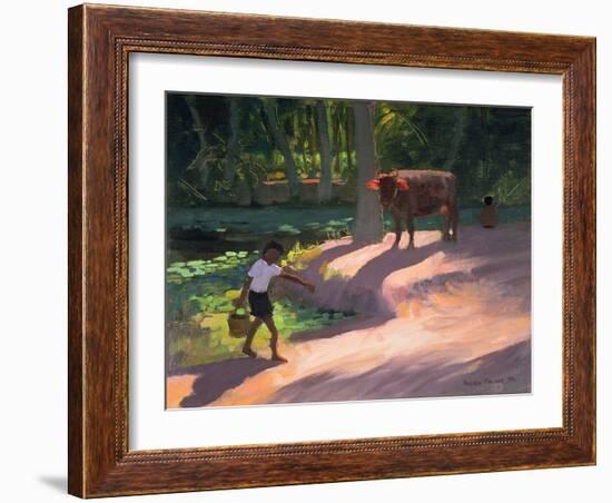 Kerala Backwaters, India, 1996-Andrew Macara-Framed Giclee Print