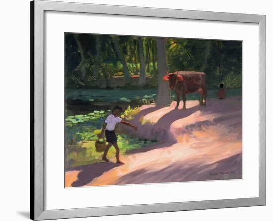 Kerala Backwaters, India, 1996-Andrew Macara-Framed Giclee Print