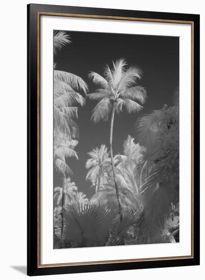 Kerala I-Bill Philip-Framed Giclee Print