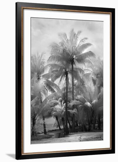 Kerala II-Bill Philip-Framed Giclee Print