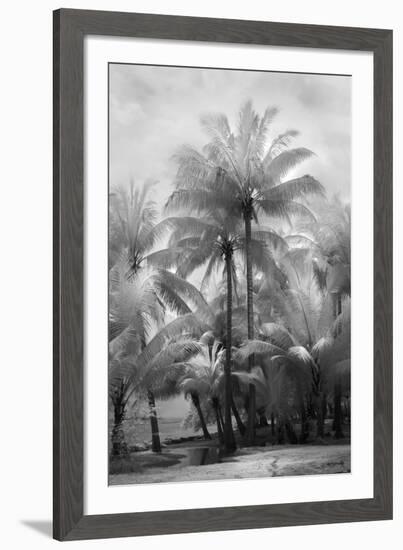 Kerala II-Bill Philip-Framed Giclee Print