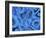 Keratinocyte Skin Cells, Light Micrograph-Science Photo Library-Framed Photographic Print