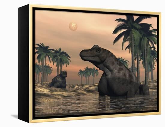 Keratocephalus Dinosaurs in a Small Lake at Sunset-Stocktrek Images-Framed Stretched Canvas