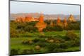 Premium Photographic Print