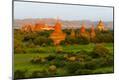 Premium Photographic Print