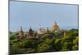 Premium Photographic Print