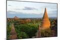 Premium Photographic Print