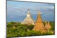 Premium Photographic Print