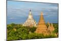 Premium Photographic Print