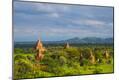 Premium Photographic Print