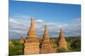 Premium Photographic Print