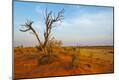 Photographic Print