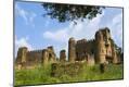 Premium Photographic Print