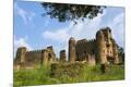 Premium Photographic Print