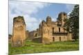 Premium Photographic Print