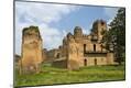Premium Photographic Print