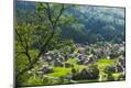 Premium Photographic Print
