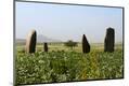 Premium Photographic Print