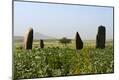 Premium Photographic Print