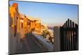 Photographic Print