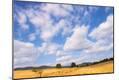 Photographic Print