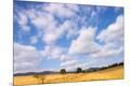 Photographic Print