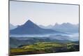 Premium Photographic Print