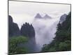 Premium Photographic Print