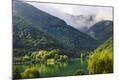 Photographic Print