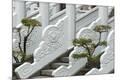Premium Photographic Print