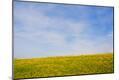 Premium Photographic Print