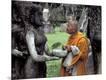 Photographic Print