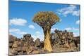 Photographic Print
