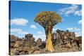Stretched Canvas Print