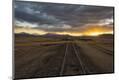 Photographic Print