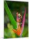 Premium Photographic Print