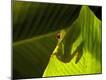 Premium Photographic Print