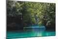 Photographic Print