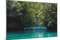 Photographic Print