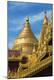 Premium Photographic Print