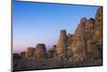 Photographic Print