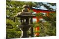 Photographic Print