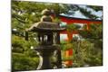 Photographic Print