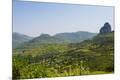 Premium Photographic Print